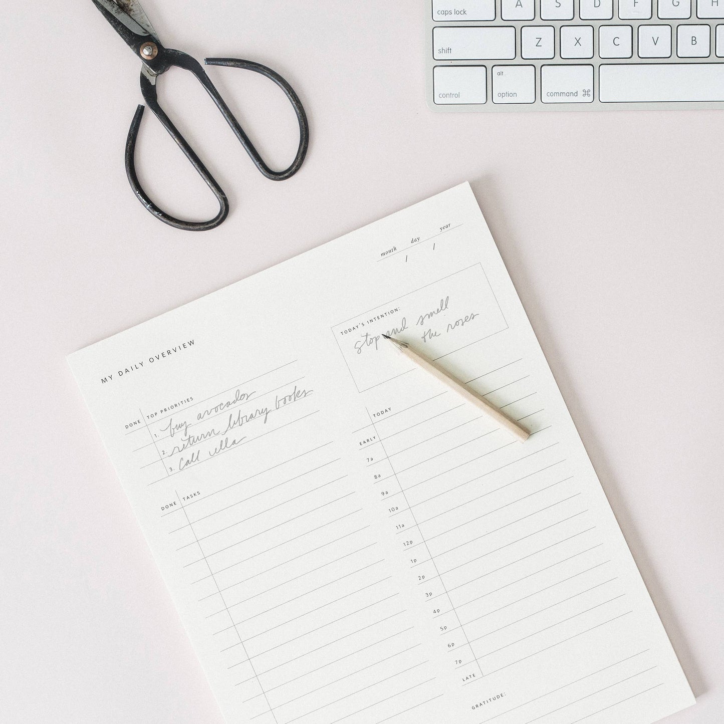 Ramona & Ruth - Daily Overview Notepad