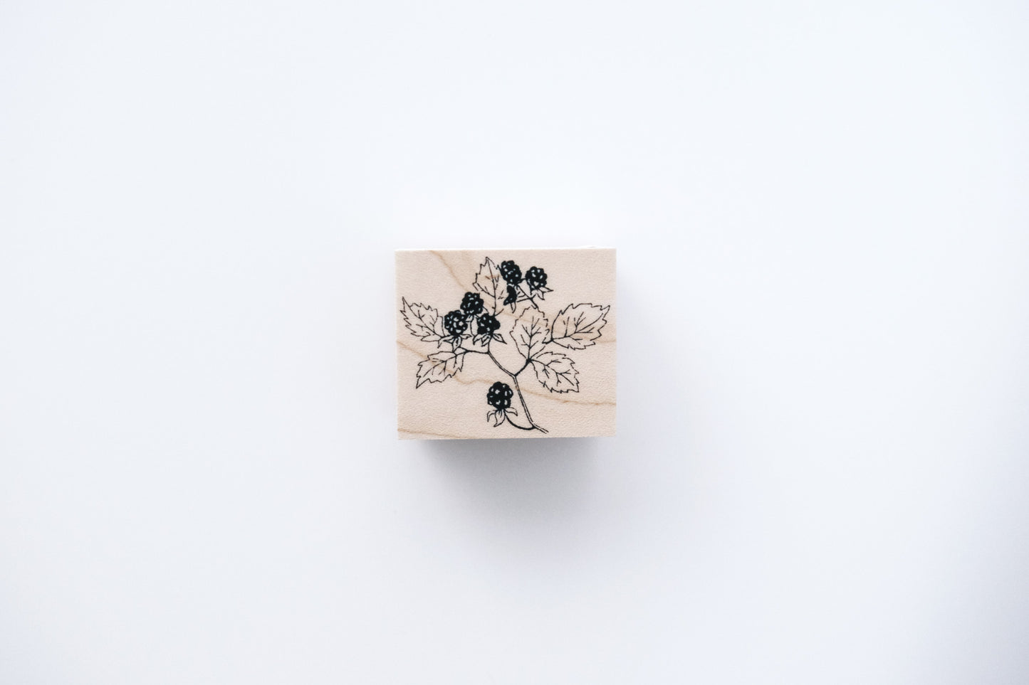MA7Stamp Stamp - Raspberry