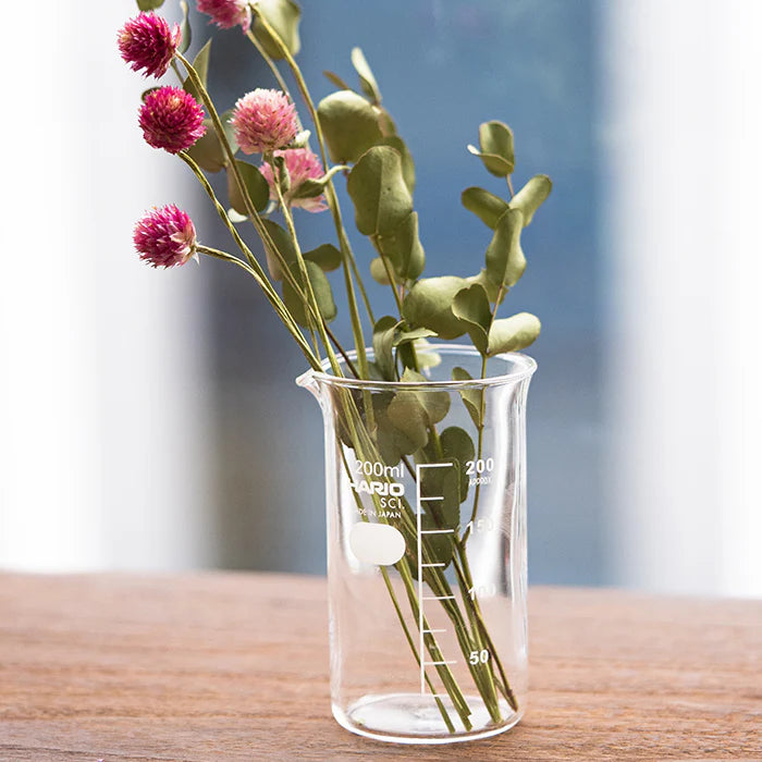 Hario Tall Glass Beaker