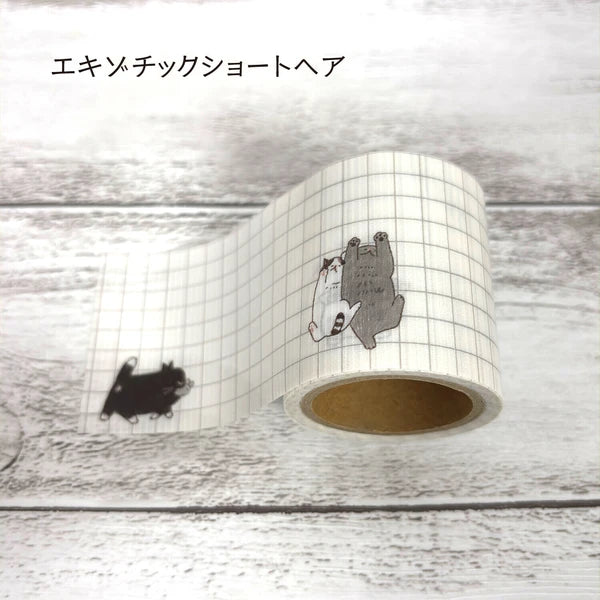 Shinzi Katoh Yojo Tape - Exotic Shorthair