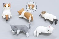 YELL Blind Box - Resting Cat