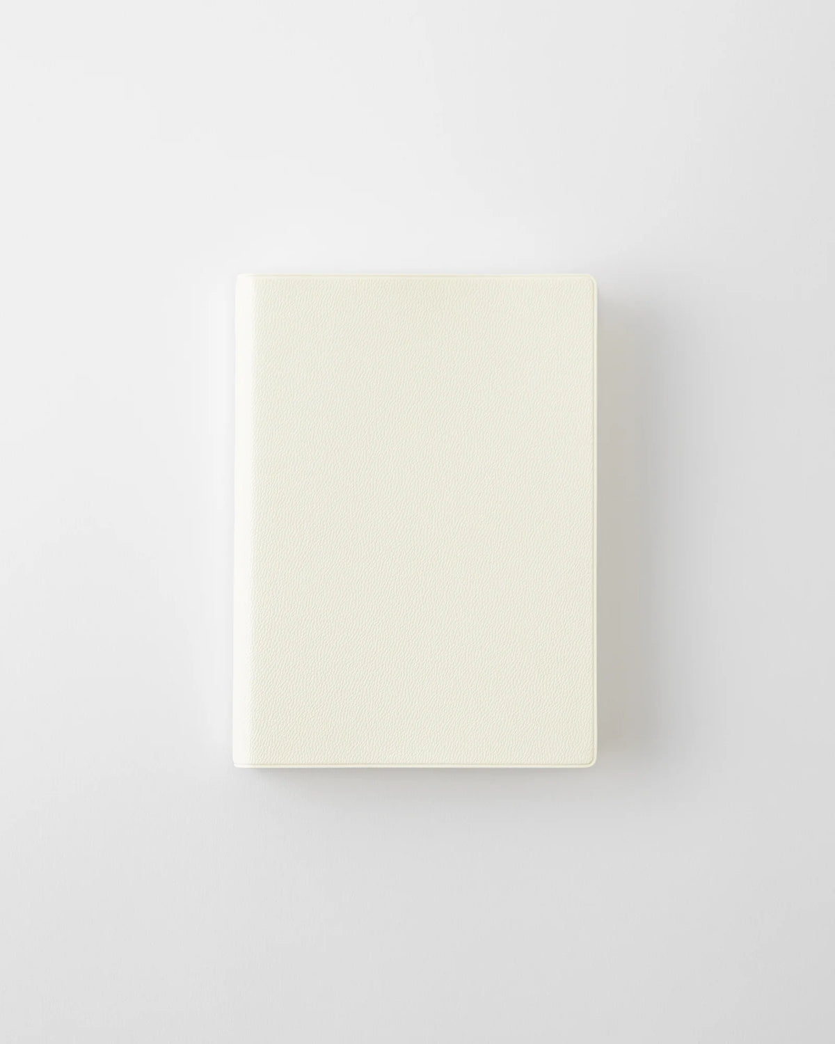 MD 2027 Notebook Diary 1 Day 1 Page - A6