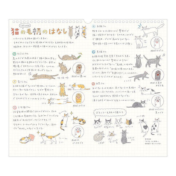 Midori 2027 Wall Calendar - Cat - Large