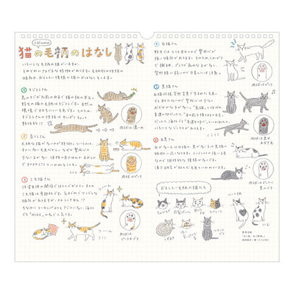 Midori 2027 Wall Calendar - Cat - Large