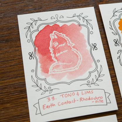 Thousand Skies - Ink Cards - Neighborhood Cats