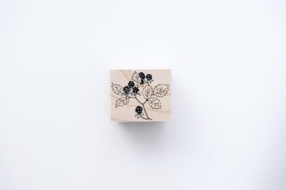 MA7Stamp Stamp - Raspberry