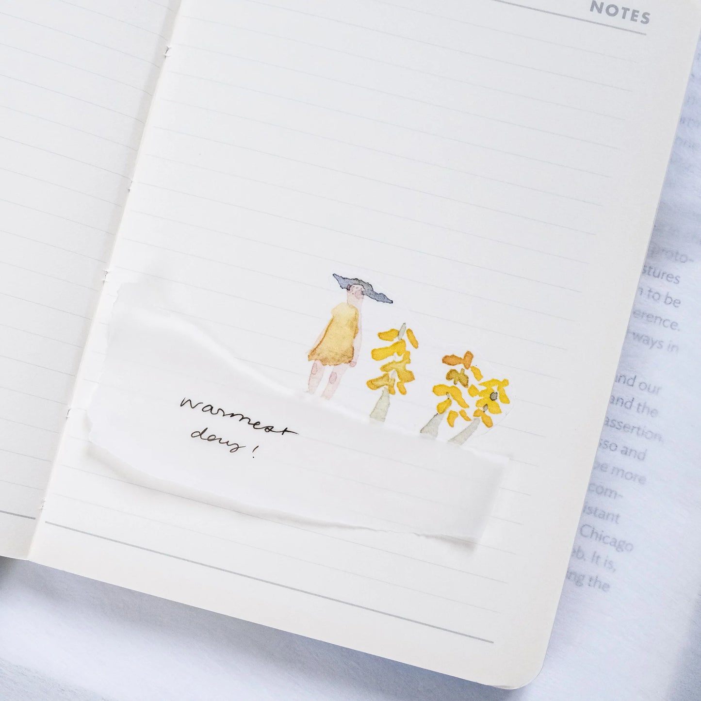 dodolulu - Washi Tape - A Beautiful Day