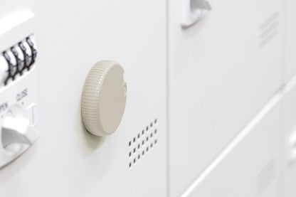 Midori Carton Opener - Beige