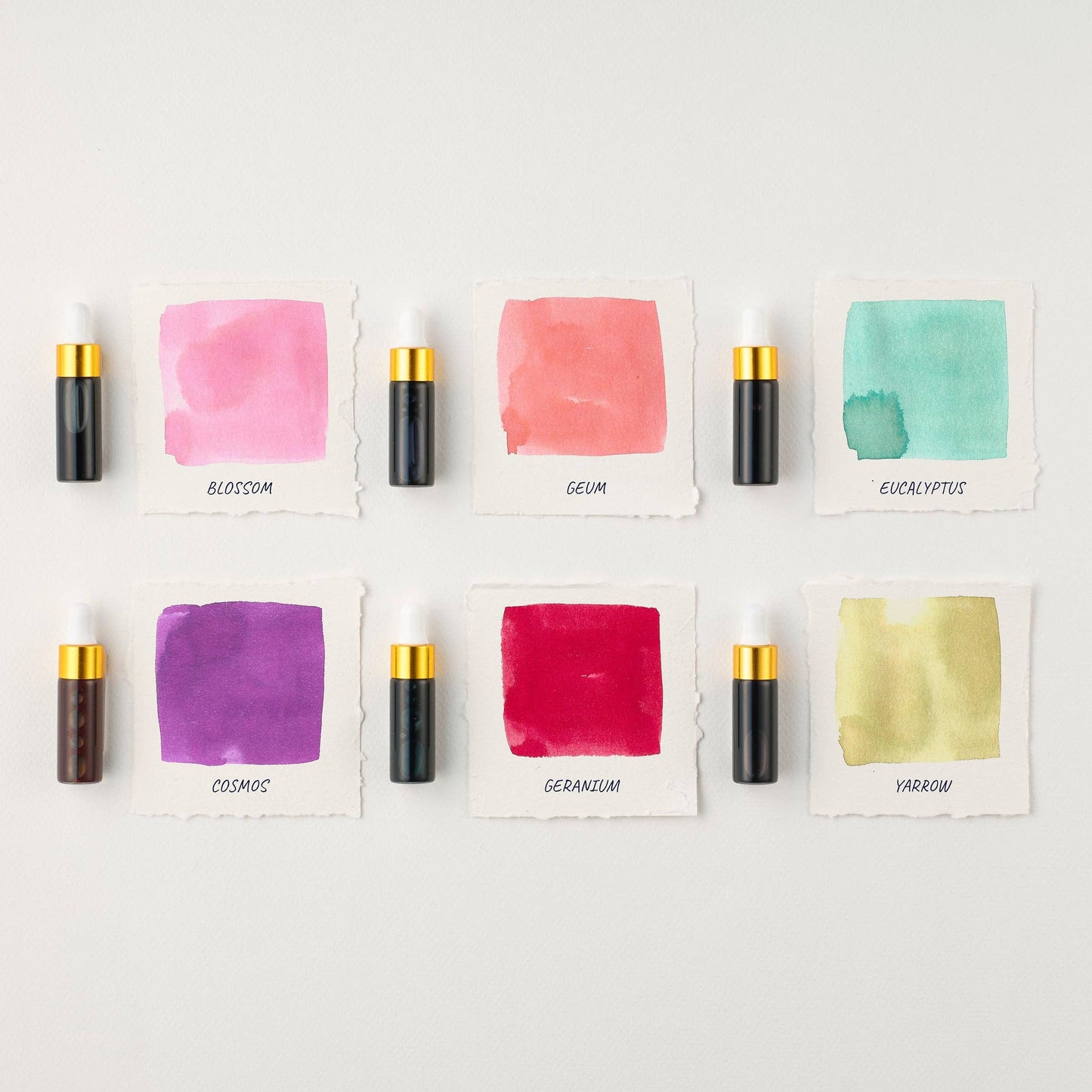 Tom's Studio - Sakura Mini Ink Collection