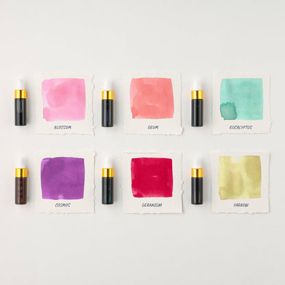 Tom's Studio - Sakura Mini Ink Collection