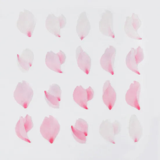 Bande Washi Tape Sticker Roll - Cherry Blossom Petals