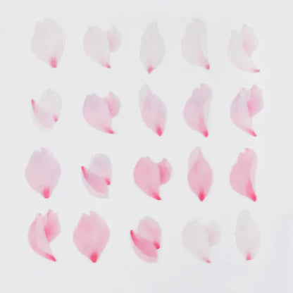 Bande Washi Tape Sticker Roll - Cherry Blossom Petals