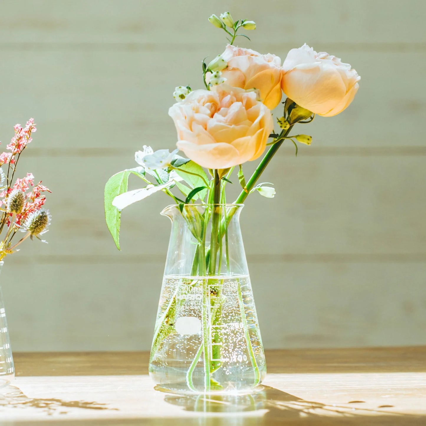Hario Glass Conical Beaker