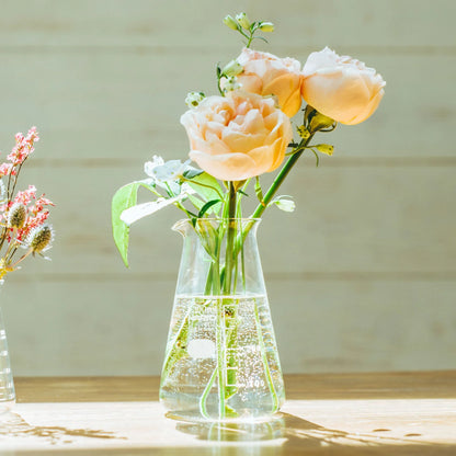 Hario Glass Conical Beaker