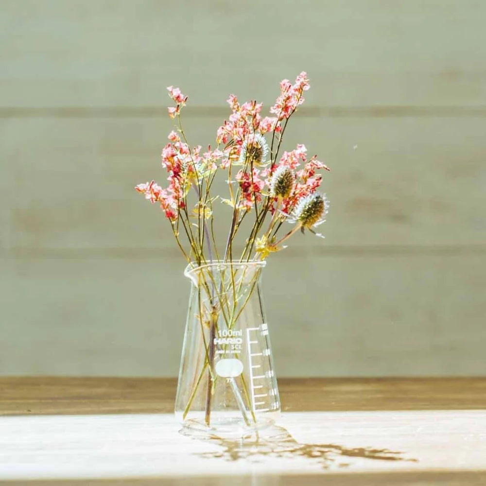 Hario Glass Conical Beaker