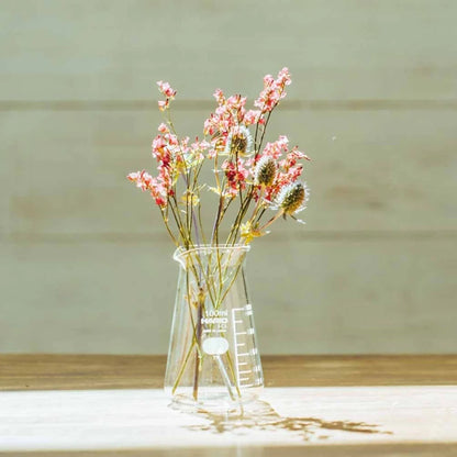 Hario Glass Conical Beaker