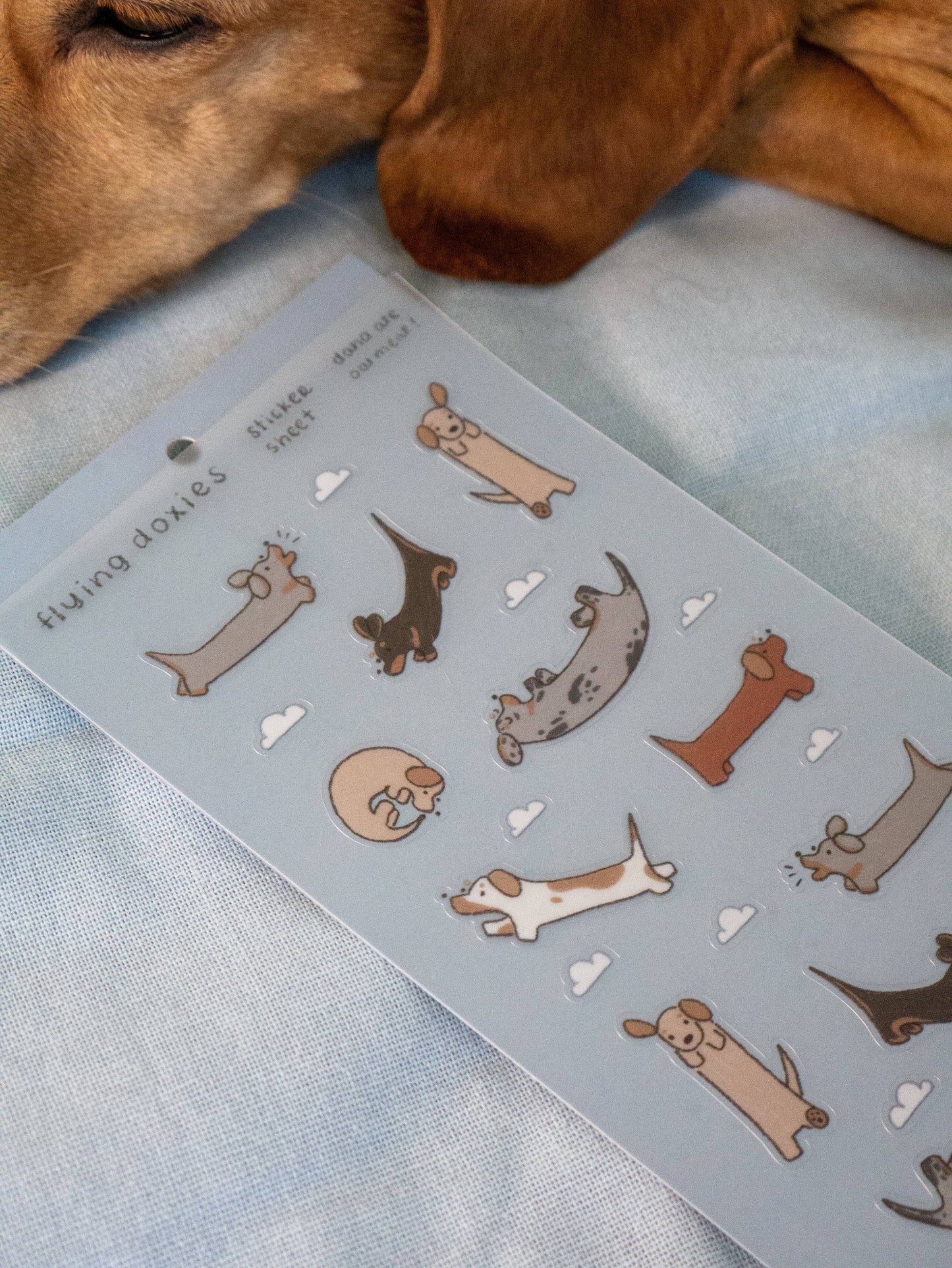 dana ate oatmeal! - Flying Doxies PET Sticker Sheet