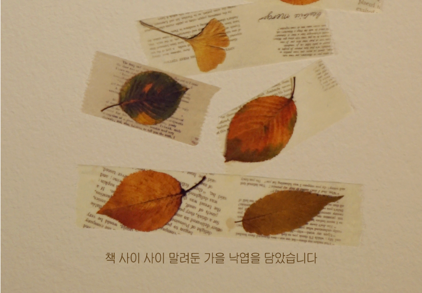 Zagne Korea Washi Tape - Fallen Leaves