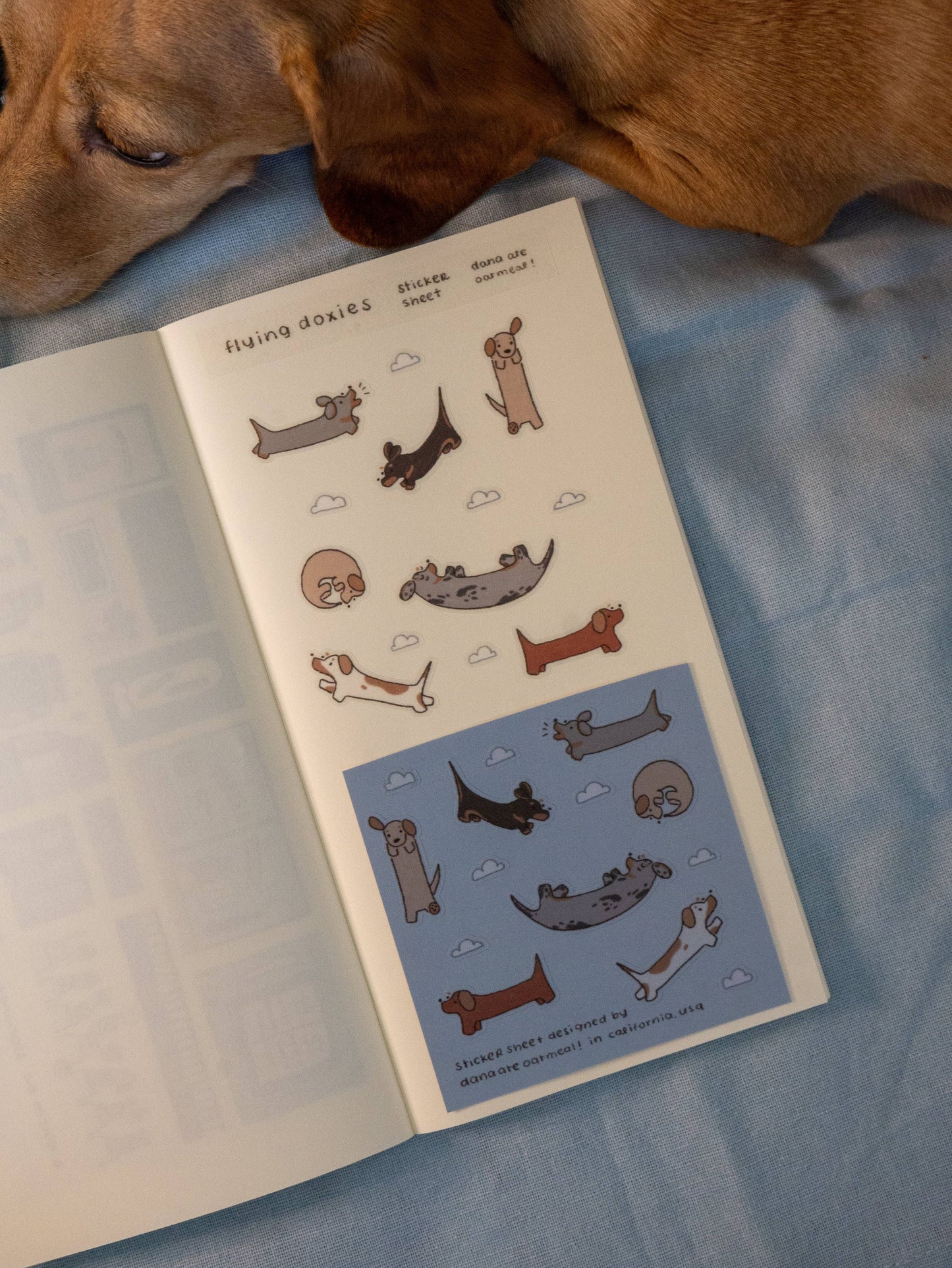 dana ate oatmeal! - Flying Doxies PET Sticker Sheet