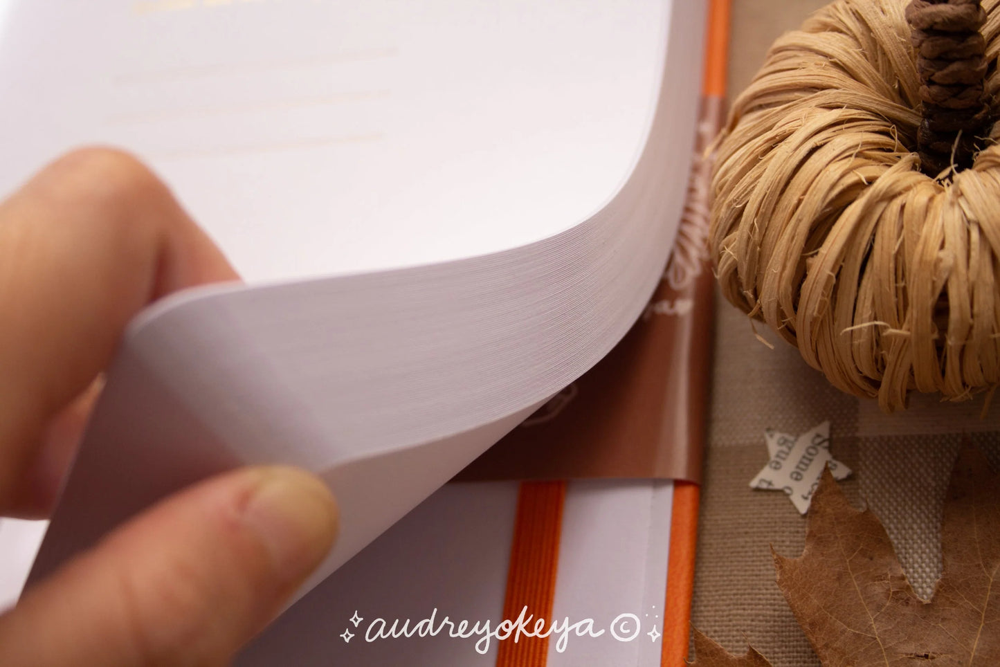 Okeya Stationery Co. - You are Enough Autumnal Journals