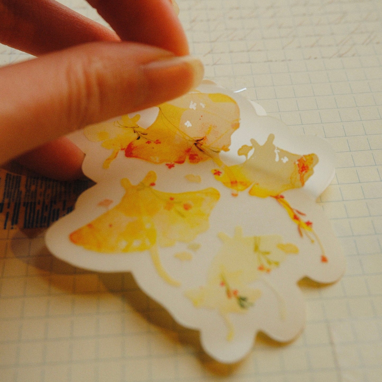 mikan manta - Transparent Sticker - Ginkgo Mantas