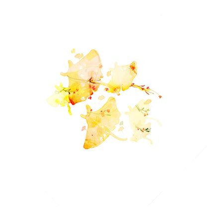 mikan manta - Transparent Sticker - Ginkgo Mantas