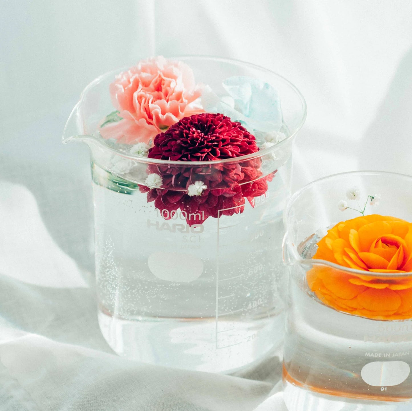 Hario Glass Beaker