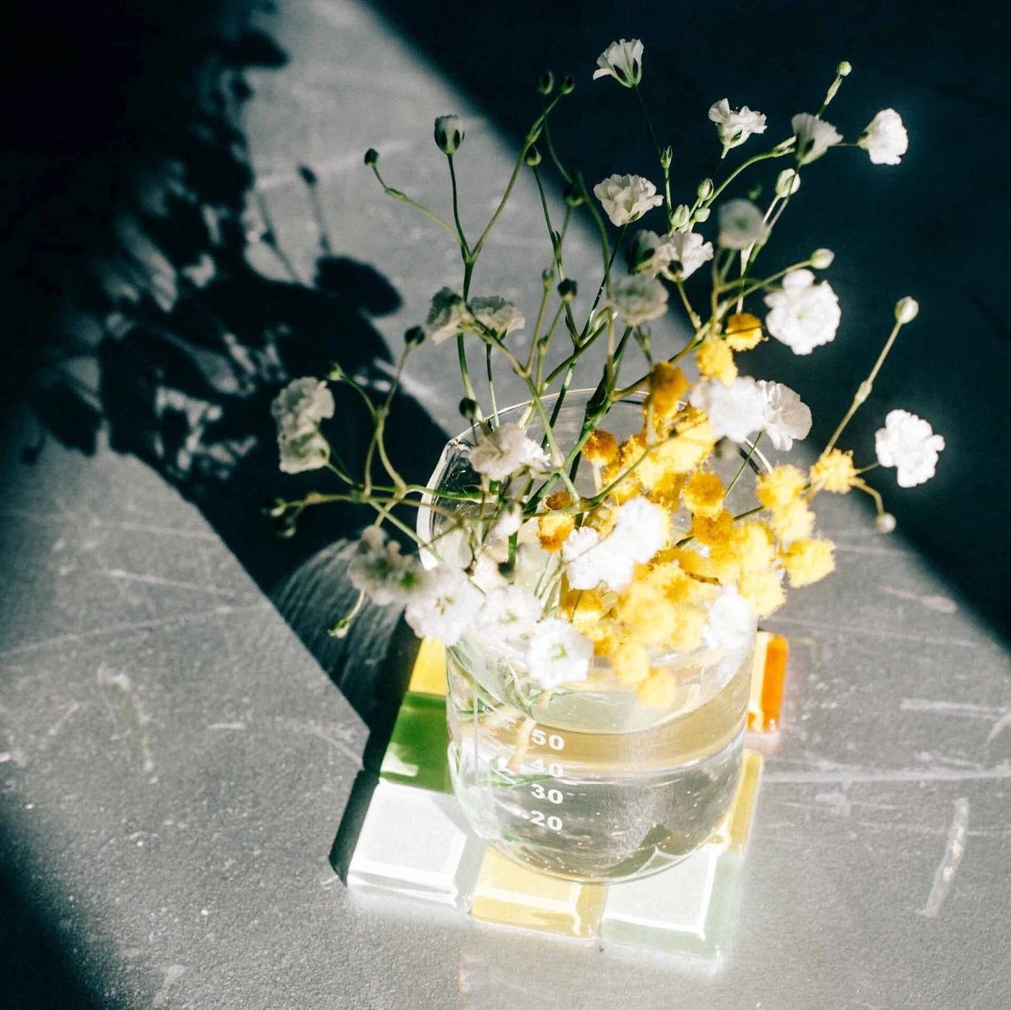 Hario Glass Beaker