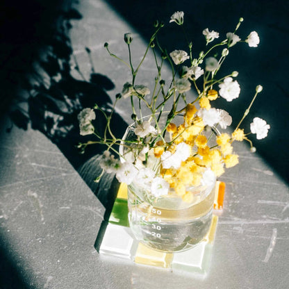 Hario Glass Beaker