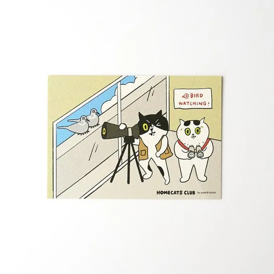 superB studio - Postcard - Homecats Club: The International Cat Birdwatching Association