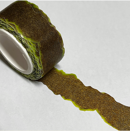 Zagne Korea Washi Tape - Kiwi Peel