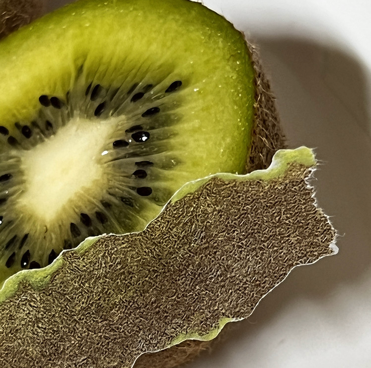 Zagne Korea Washi Tape - Kiwi Peel