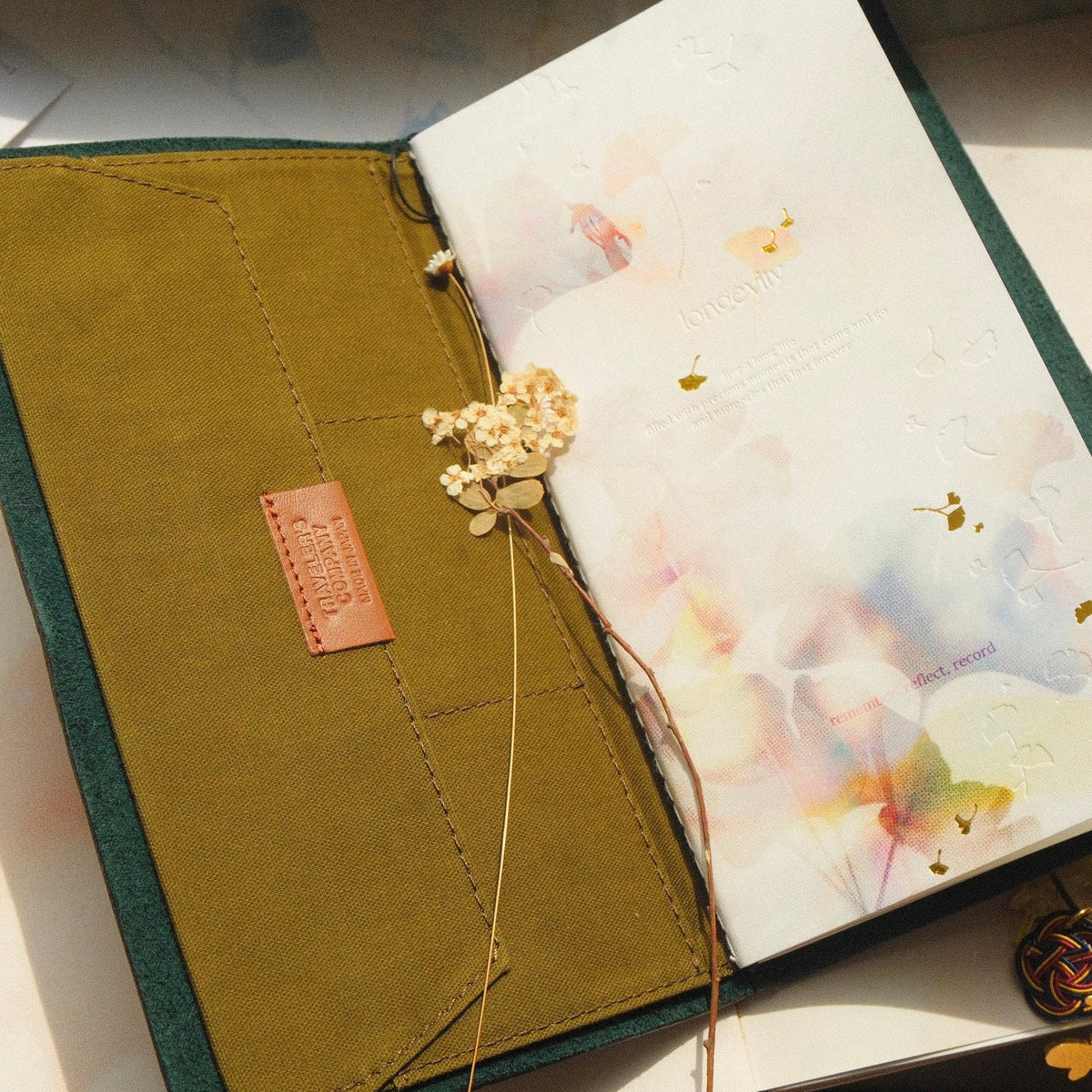 mikan manta - Notebook Insert - Longevity