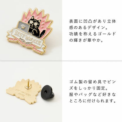 Iroha Publishing - MY AWARD PiNS