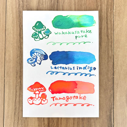 nocco. x Tono & Lims - Mushroom Image Ink - Wakakusatake