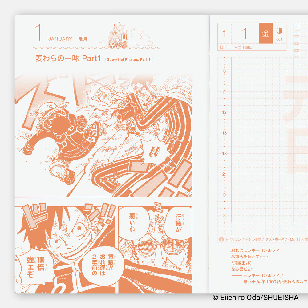Hobonichi Techo 2027 Japanese Original Book - One Piece Edition - A6