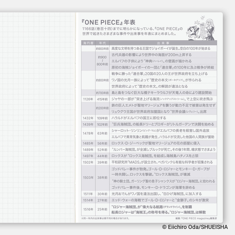 Hobonichi Techo 2027 Japanese Original Book - One Piece Edition - A6