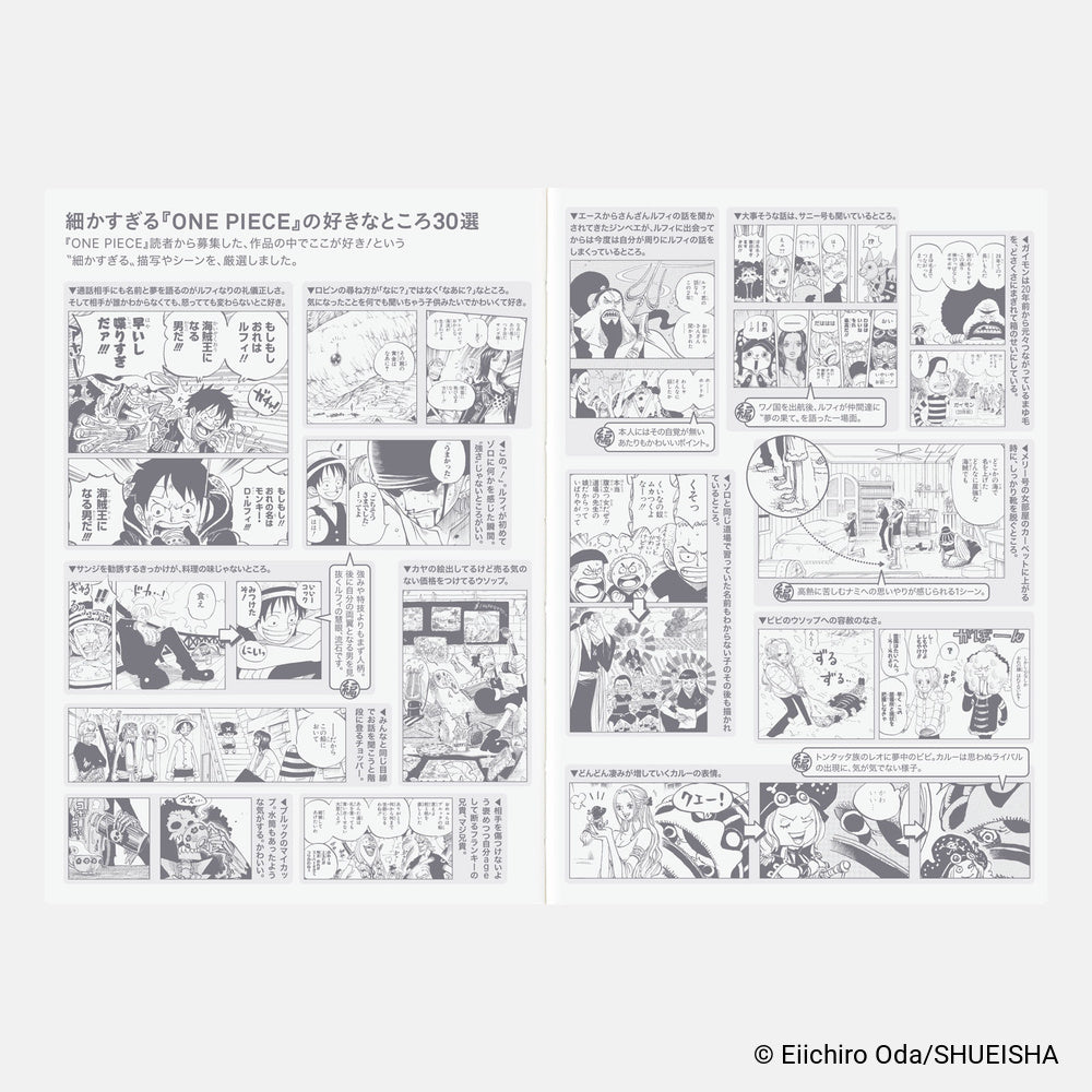 Hobonichi Techo 2027 Japanese Original Book - One Piece Edition - A6