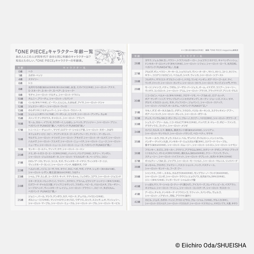 Hobonichi Techo 2027 Japanese Original Book - One Piece Edition - A6