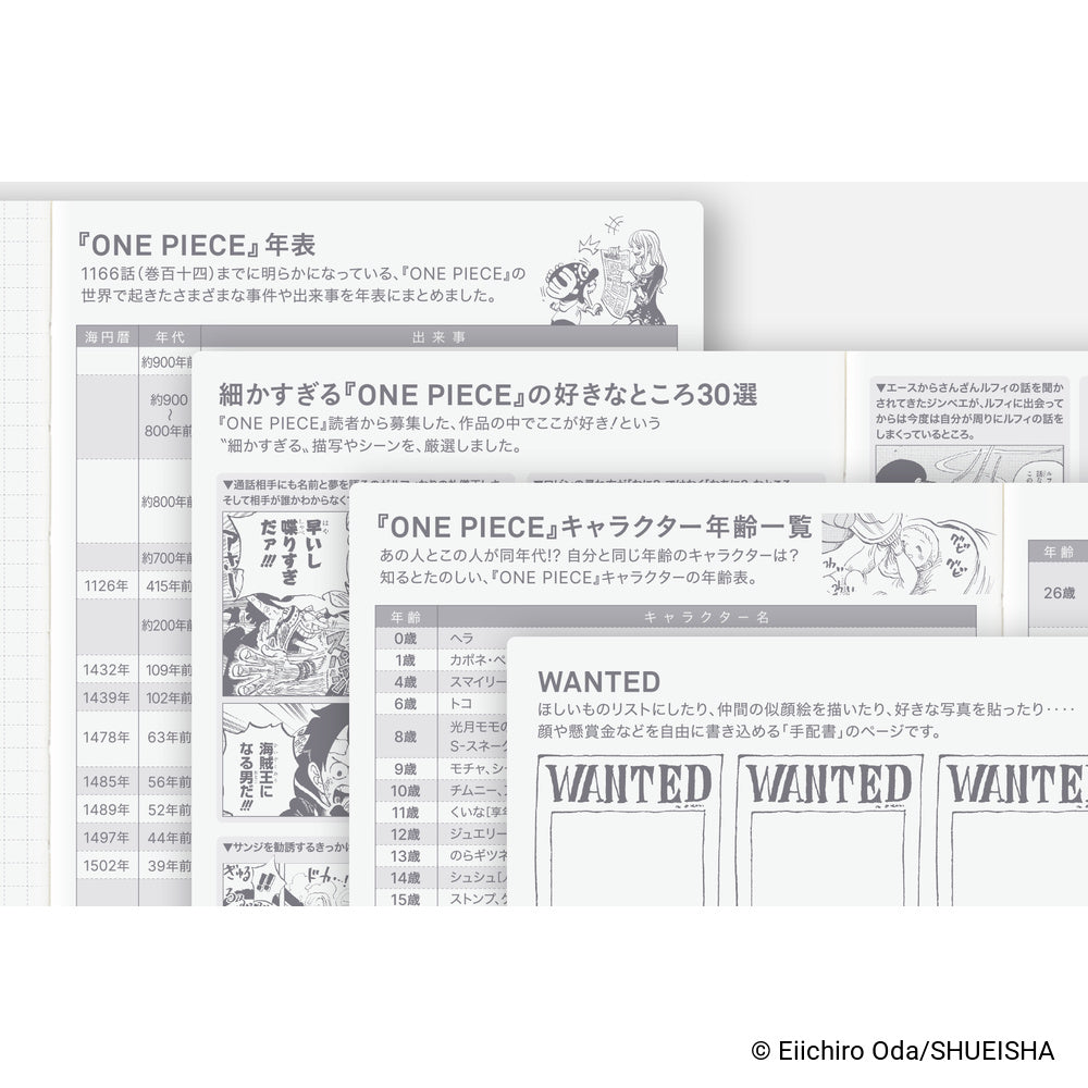 Hobonichi Techo 2027 Japanese Original Book - One Piece Edition - A6