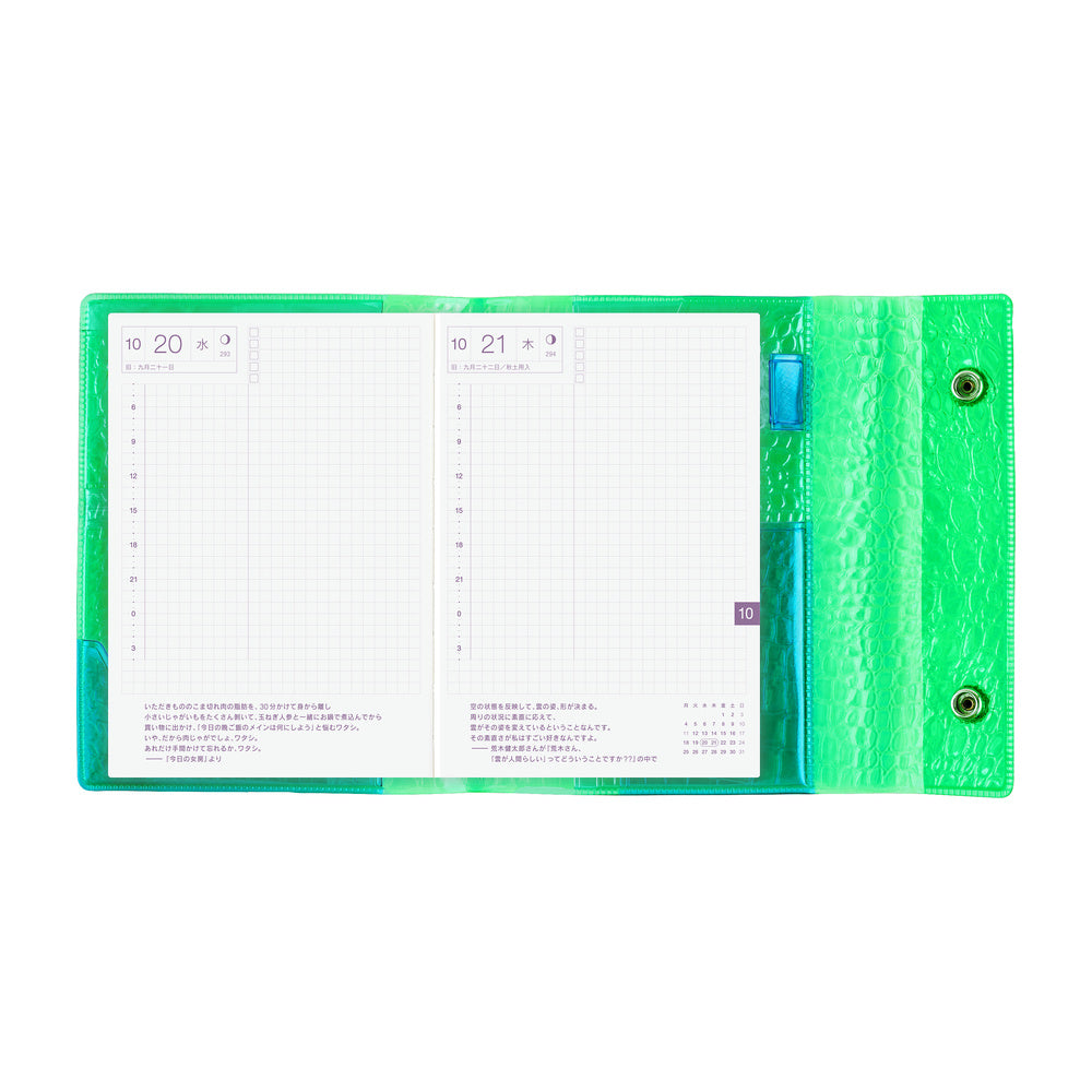 Hobonichi Original A6 Cover - Beautiful People: Nothing to Hide - Green