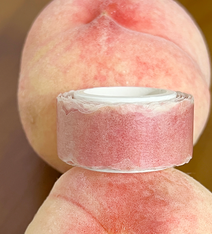 Zagne Korea Washi Tape - Peach Peel