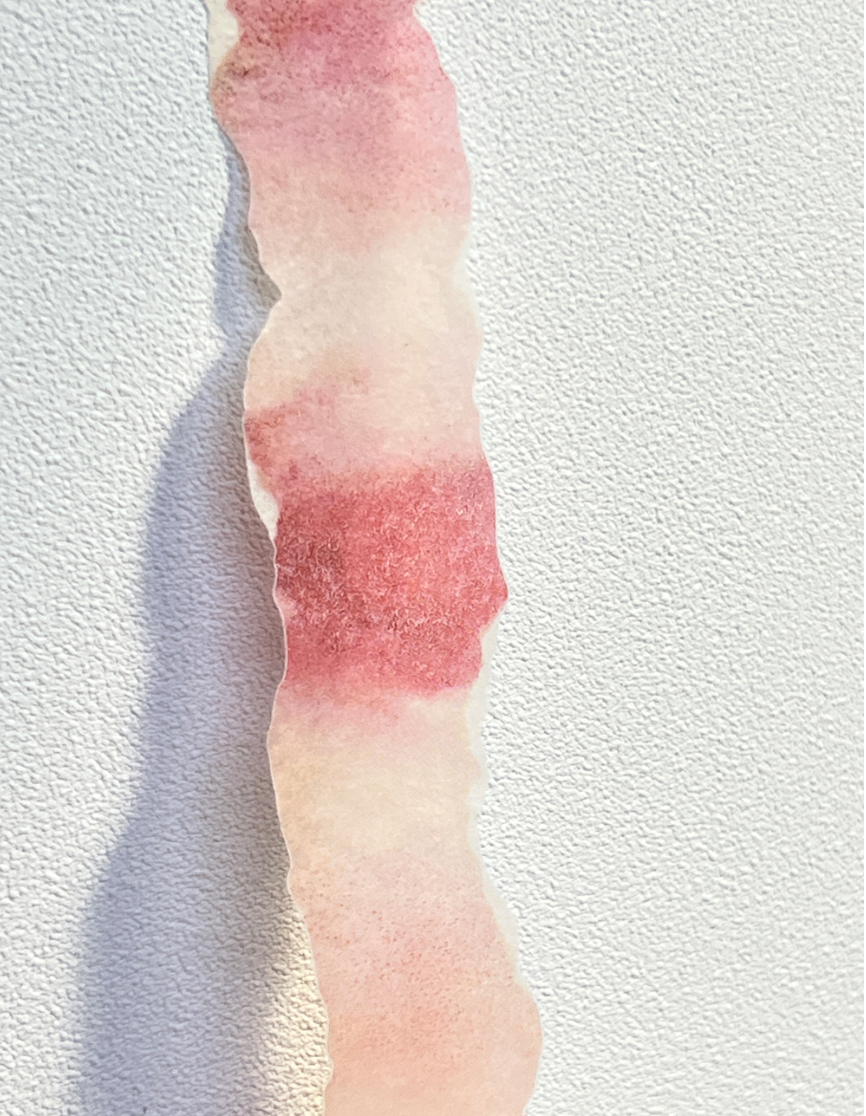 Zagne Korea Washi Tape - Peach Peel