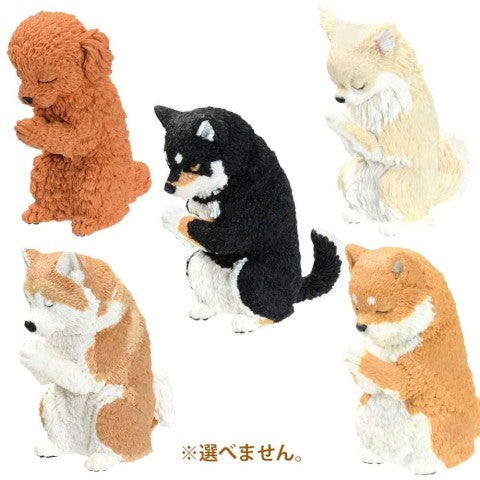 YELL Blind Box - Praying Dog