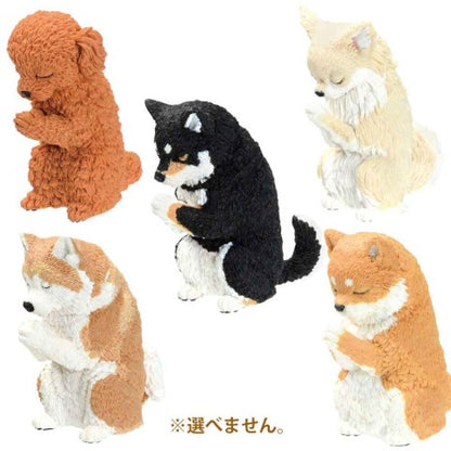 YELL Blind Box - Praying Dog