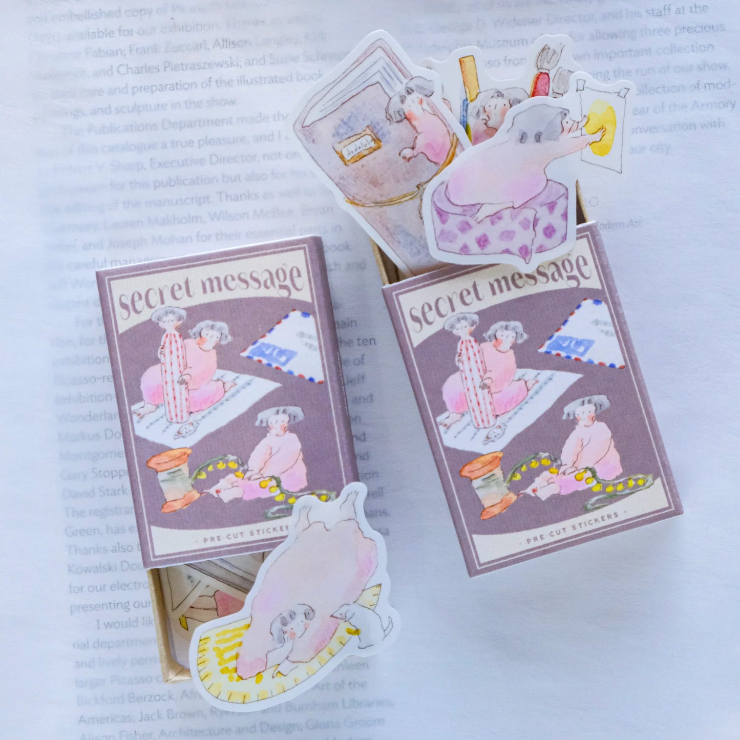 dodolulu - Washi Flake Stickers - Matchbox Series - Secret Message