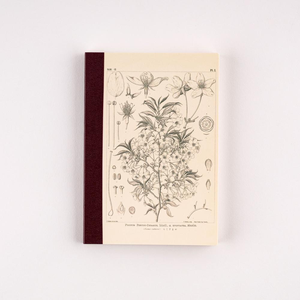 Hobonichi Techo Graph Notebook - Tomitaro Makino Yamazakura