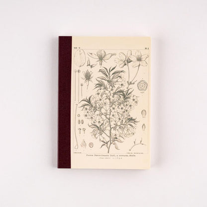 Hobonichi Techo Graph Notebook - Tomitaro Makino Yamazakura