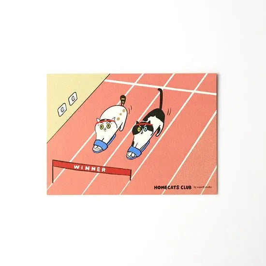 superB studio - Postcard - Homecats Club: Slipper Contest