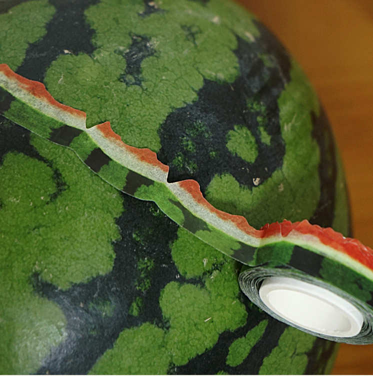 Zagne Korea Washi Tape - Watermelon Peel